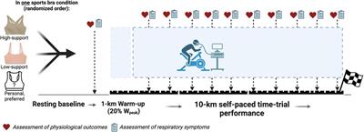 Supported to perform: sports bras and breast volume do not impair cycling performance in females